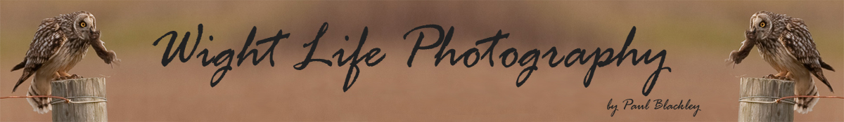Paul Blackley Photography